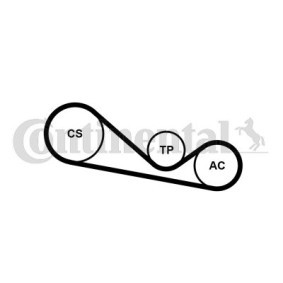 Achetez des Jeu de courroies trapézoïdales à nervures CONTITECH 4PK1237K1 à prix pour 50,65 €