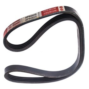 Compre Correia trapezoidal estriada da MASTER-SPORT 4PK825-PCS-MS a um preço baixo por 5,54 €