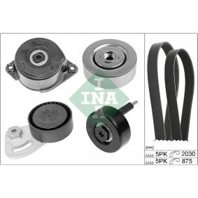 Keilrippenriemensatz 529 0253 10 ROVER von INA