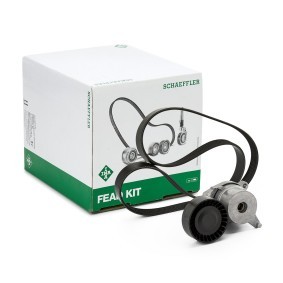 Acquista Kit Cinghie Poly-V da INA 529 0262 10 a buon mercato per soli 47,63 €