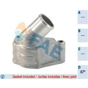 Comprar Termostato, refrigerante de FAE 5321287 a bajo precio de 53,22 €