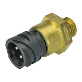 Sensor, Öldruck 534 820 0002