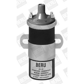 Achetez des Régulateur d'alternateur BERU GER017 à prix pour 23,56 €