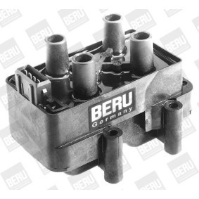 Achetez des Régulateur d'alternateur BERU GER071 à prix pour 66,15 €
