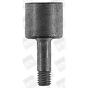 Acquista Connettore femmina, Impianto accensione da BERU RHB003 a buon mercato per soli 47,69 €