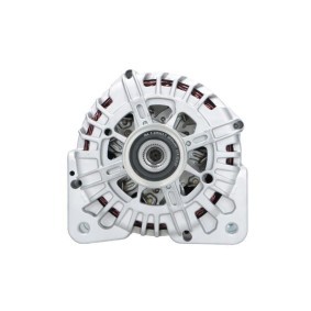 Lichtmaschine von BV PSH