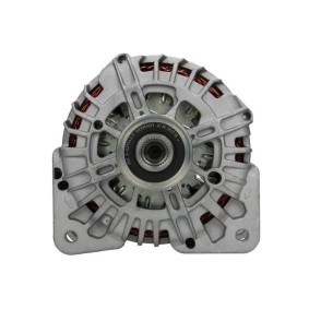 Lichtmaschine von BV PSH