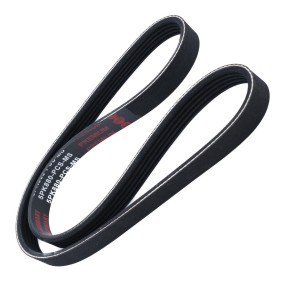 Acquista Cinghia servizi da MASTER-SPORT 5PK880-PCS-MS a buon mercato per soli 7,75 €