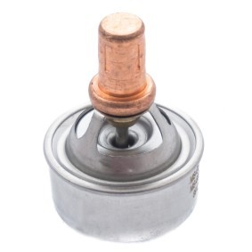 Achetez des Thermostat d'eau MASTER-SPORT 6001544059-PCS-MS à prix pour 8,07 €