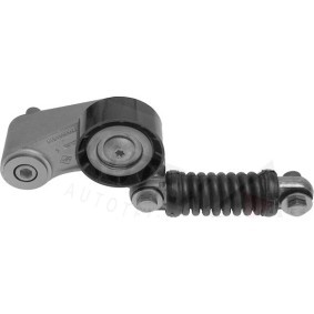 Acquista Braccio tenditore, Cinghia Poly-V da AUTEX 601058 a buon mercato per soli 159,36 €