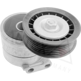 Comprar Tensor de correa poli V de AUTEX 601379 a bajo precio de 39,17 €