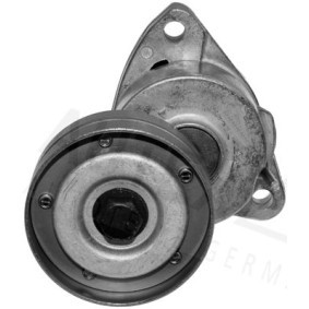 Comprar Tensor de correa poli V de AUTEX 601438 a bajo precio de 59,82 €