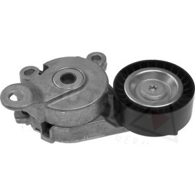 Acquista Braccio tenditore, Cinghia Poly-V da AUTEX 602075 a buon mercato per soli 53,15 €