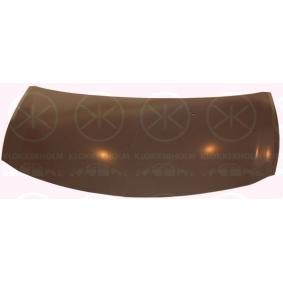 Motorhaube 6033280
