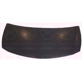 Motorhaube 6033281A1