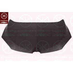 Motorhaube 6043280A1
