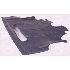 Motorabdeckung 6049795