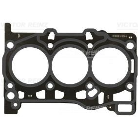 Zylinderkopfdichtung 61-10216-00 VOLKSWAGEN T-CROSS von REINZ
