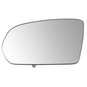 Spiegelglas, Außenspiegel 6102-02-2001803P