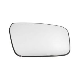 Spiegelglas, Außenspiegel 6102-16-2001933P