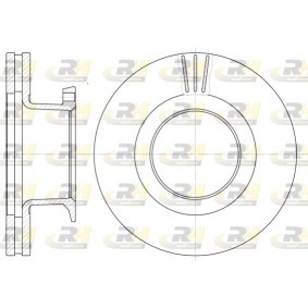 Bremsscheibe 61289.10