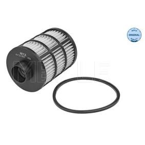 Achetez des Filtre à carburant MEYLE 614 323 0004 à prix pour 14,07 €