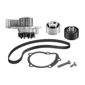 Achetez des Kit de distribution + pompe à eau VALEO 614512 à prix pour 107,61 €