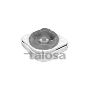 Lagerung, Automatikgetriebe von TALOSA