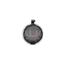 Blinker 6203457