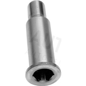 Lagerzapfen, Spannrollenhebel von AUTEX 631665