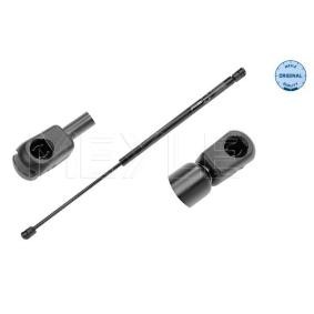 Comprar Amortiguador de maletero de MEYLE 640 910 0022 a bajo precio de 17,41 €