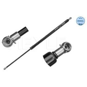 Compre Amortecedor da mala da MEYLE 640 910 0066 a um preço baixo por 22,77 €