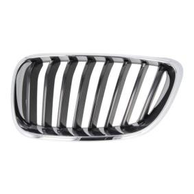 Kühlergrill 6502-07-0069991P