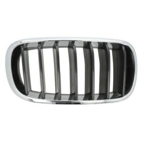 Kühlergrill 6502-07-00969922P