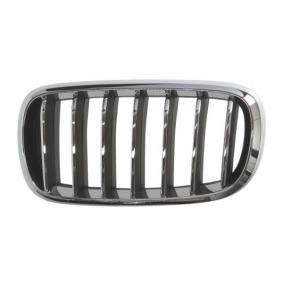 Kühlergrill 6502-07-00969933P