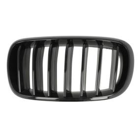 Kühlergrill 6502-07-00969977P