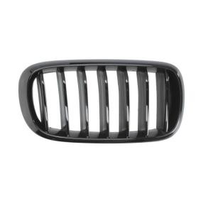 Kühlergrill 6502-07-00969988P