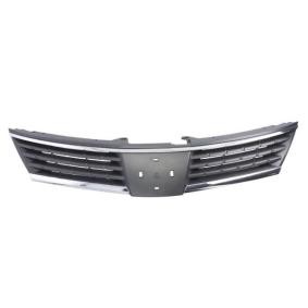 Kühlergrill 6502-07-1636990P