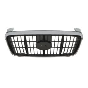 Kühlergrill 6502-07-3163990P