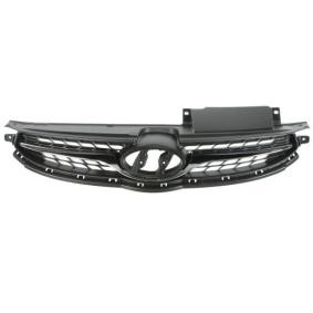 Kühlergrill 6502-07-3171990P