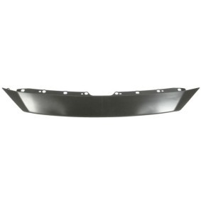 Blende, Kühlergitter 6502-07-3453210P