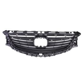 Kühlergrill 6502-07-3453990P