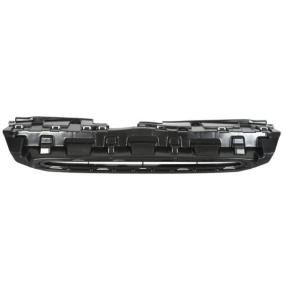Kühlergrill 6502-07-3712990P