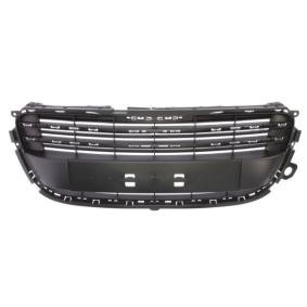 Kühlergrill 6502-07-5527990Q