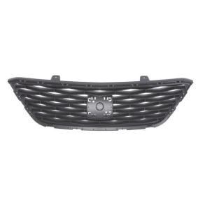 Kühlergrill 6502-07-6621997Q