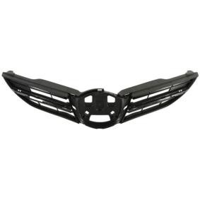 Kühlergrill 6502-07-8118998P