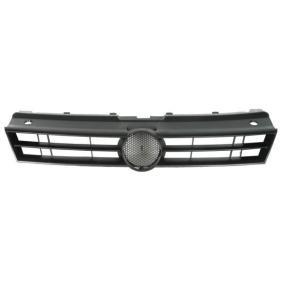 Kühlergrill 6502-07-9507990Q