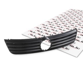 Kühlergrill 6502-07-9539990Q