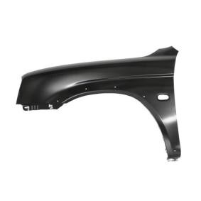 Kotflügel 6504-04-3782313P von BLIC günstig für 69,80 € online kaufen