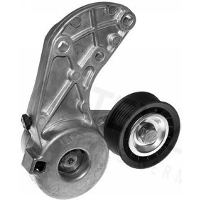 Compre Tensor de correia, correia trapezoidal estriada da AUTEX 654456 a um preço baixo por 64,02 €